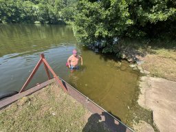 Mainschwimmen Juni 2026